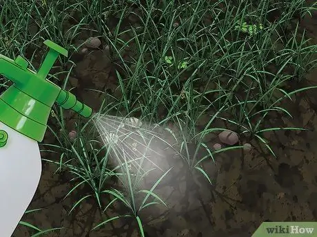 Подготовьте почву для дерна Шаг 3