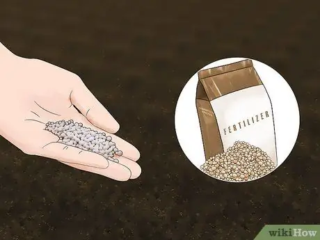 Подготовьте почву для дерна Шаг 8