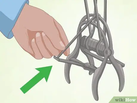 Установить ловушку для кротов Victor Step 8