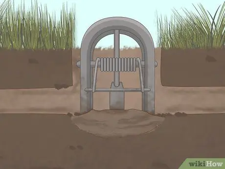 Установить ловушку для кротов Victor Step 9