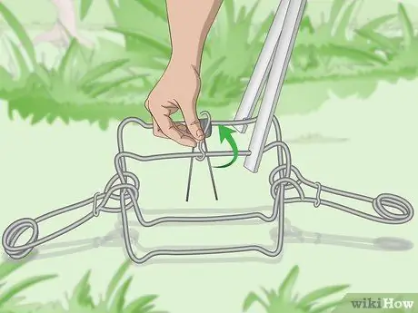 Установка ловушки Conibear Шаг 10