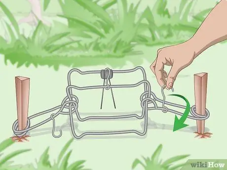 Установка ловушки Conibear Шаг 12