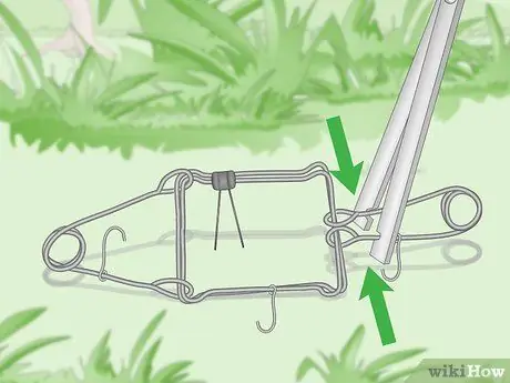 Установка ловушки Conibear Шаг 5