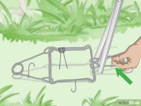 Установка ловушки Conibear Шаг 6