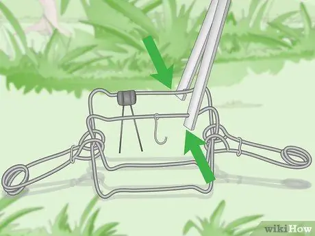 Установка ловушки Conibear Шаг 8