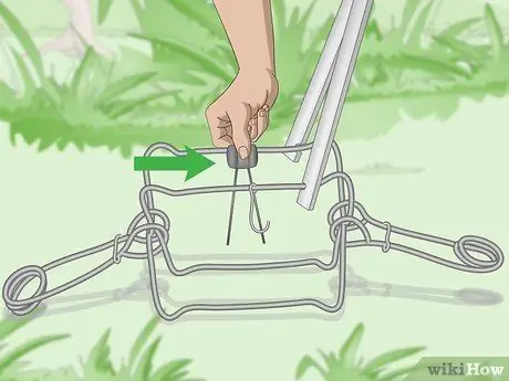 Установка ловушки Conibear Шаг 9