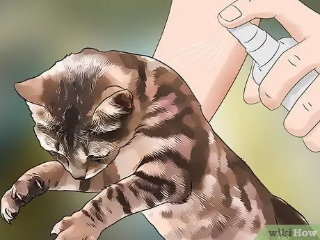 Используйте касторовое масло как средство от насекомых Шаг 8