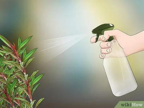Используйте касторовое масло как средство от насекомых Шаг 9