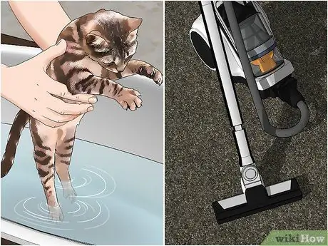 Убейте внешних блох, шаг 10