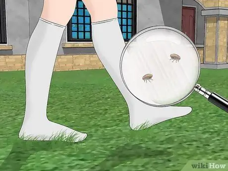 Убейте внешних блох, шаг 11