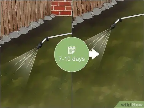 Убейте внешних блох, шаг 12