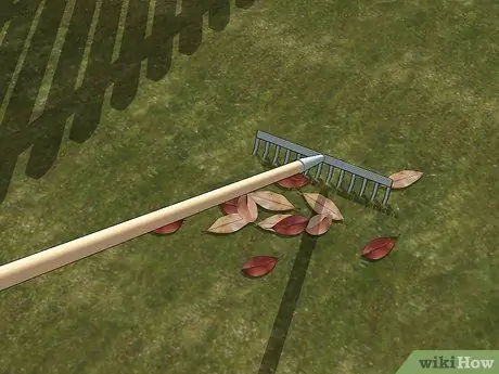 Убить внешних блох, шаг 13