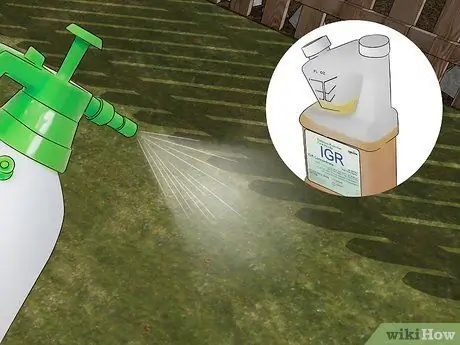 Убейте внешних блох, шаг 14