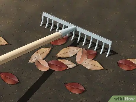 Убить внешних блох, шаг 2