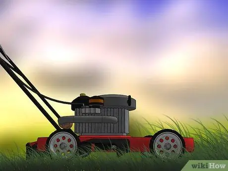 Убейте внешних блох, шаг 3