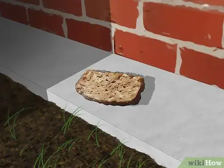 Привлечь крыс, шаг 1