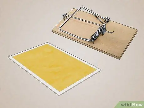 Привлечь крыс Шаг 10