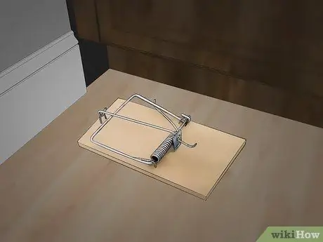 Привлечь крыс, шаг 12