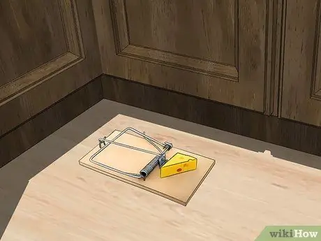 Привлечь крыс Шаг 14