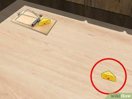 Привлечь крыс Шаг 15