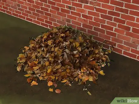 Привлечь крыс, шаг 4