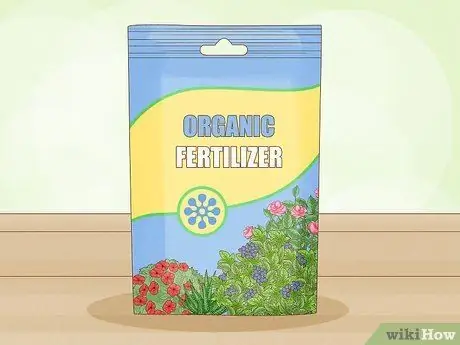 Удобрение цитрусового дерева Шаг 7