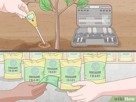 Удобрение яблони Шаг 4