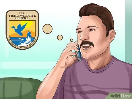 Поймать ласку Шаг 1