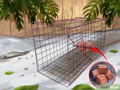 Поймать ласку Шаг 5