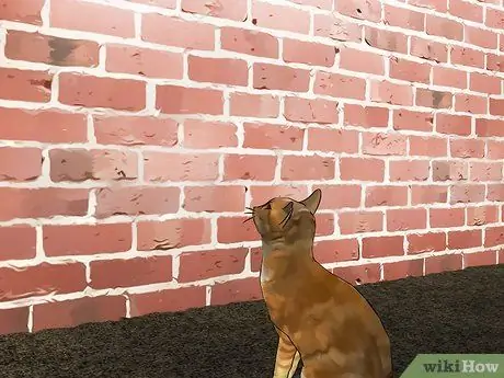 Убить Вудратов, шаг 11