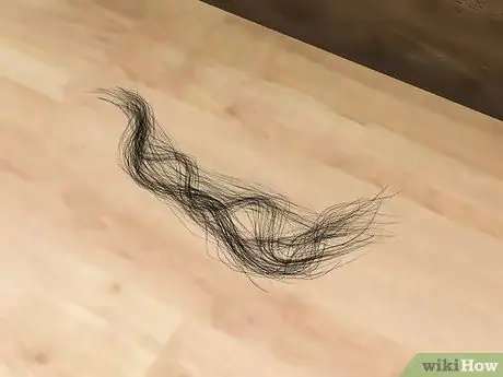 Убить вудратов, шаг 12