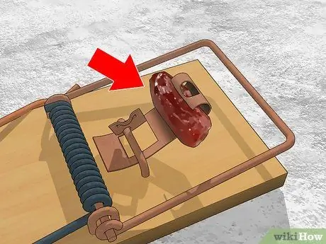 Убить вудратов, шаг 2