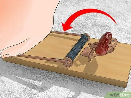 Убить вудратов, шаг 3