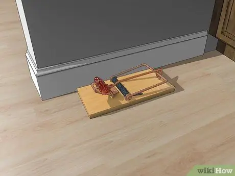 Убить вудратов, шаг 6