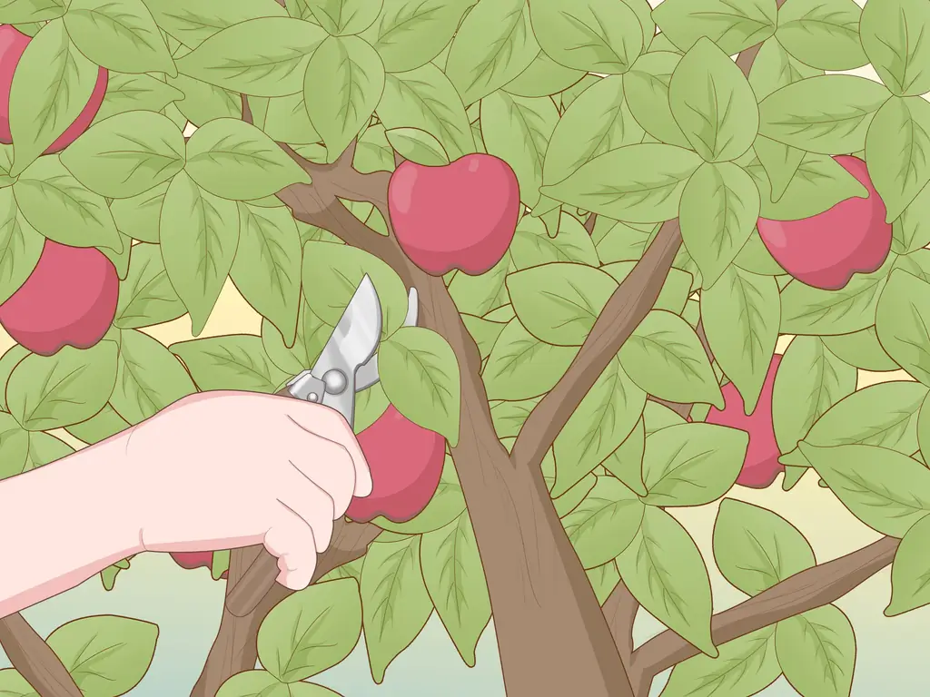 Как опылять фруктовые деревья (с иллюстрациями)