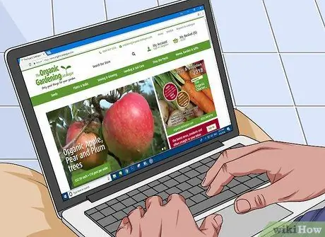 Купить органические семена Шаг 3