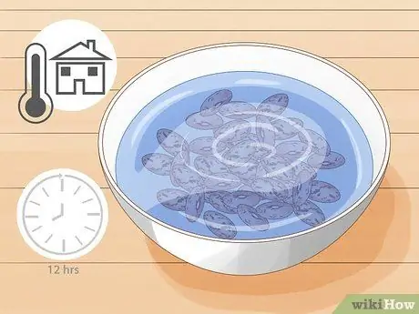 Выращивание фасоли пинто, шаг 7