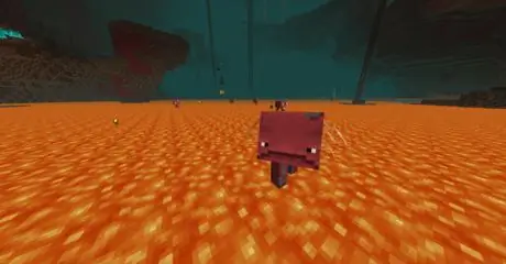 Ездить на страйдере в minecraft step 9
