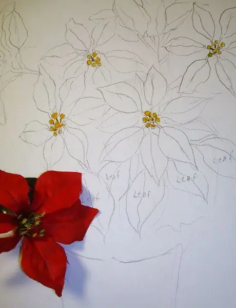 Pt ягоды и маска