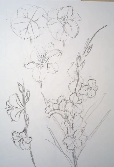 Drawglads