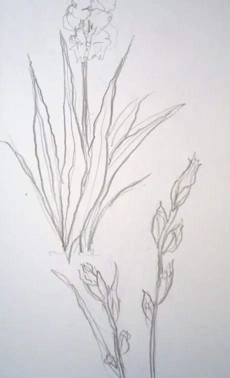 Gldleavsbuds