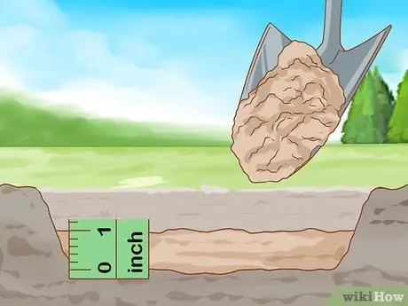 Выращивание длинностебельных роз в домашних условиях Шаг 10