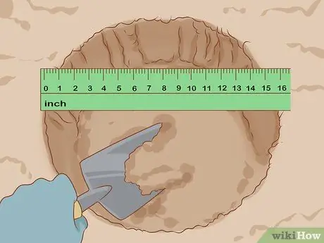 Выращивание длинностебельных роз в домашних условиях Шаг 9