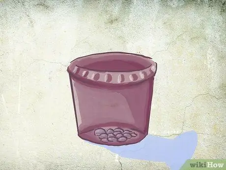 Посадить куст роз с голыми корнями в горшок Шаг 3