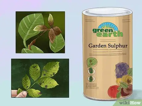 Купить органические фунгициды Step 06 Купить органические фунгициды Step 06