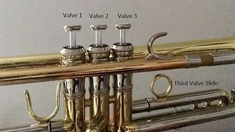 Trumpet_jp Trumpet_jp