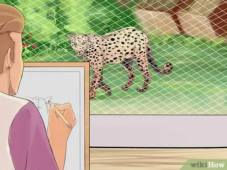 Рисуем леопардов Шаг 11