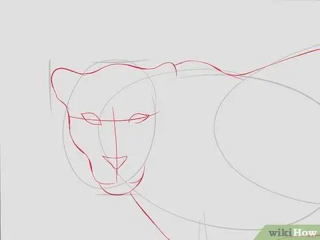 Рисуем леопардов Шаг 4
