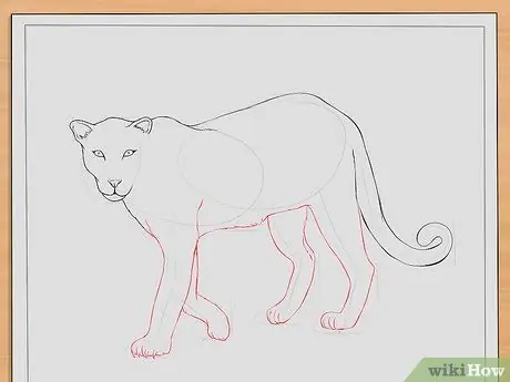 Рисуем леопардов Шаг 7