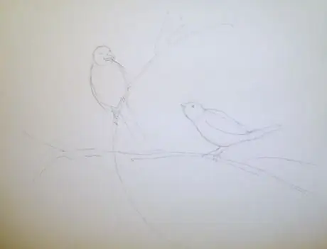 Sketchbirds Sketchbirds